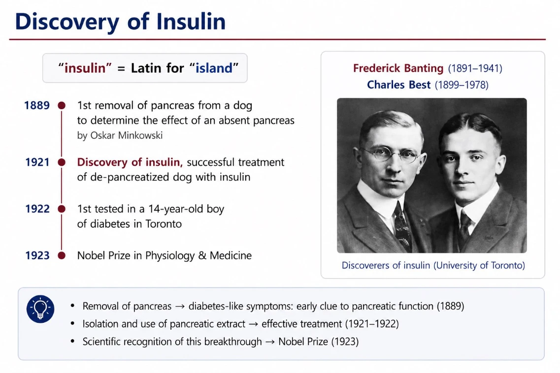 Discovery of Insulin